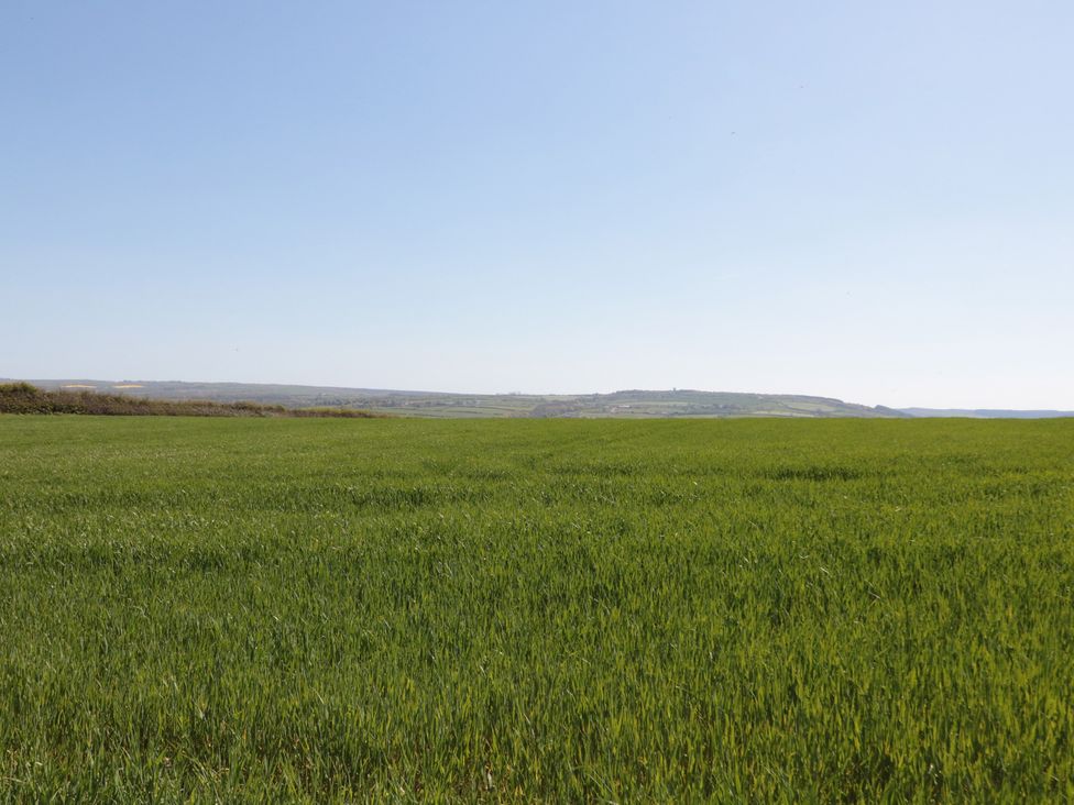 A green field with a clear sky at Hazel Lodge in Whitby