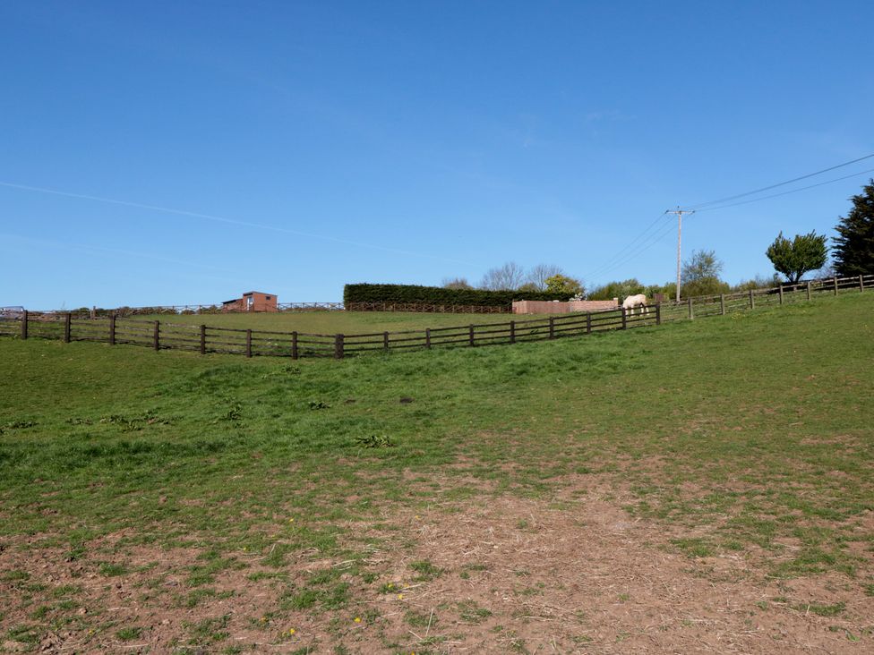 An outdoor field with a shed and horse at Magnolia Lodge in Whitby
