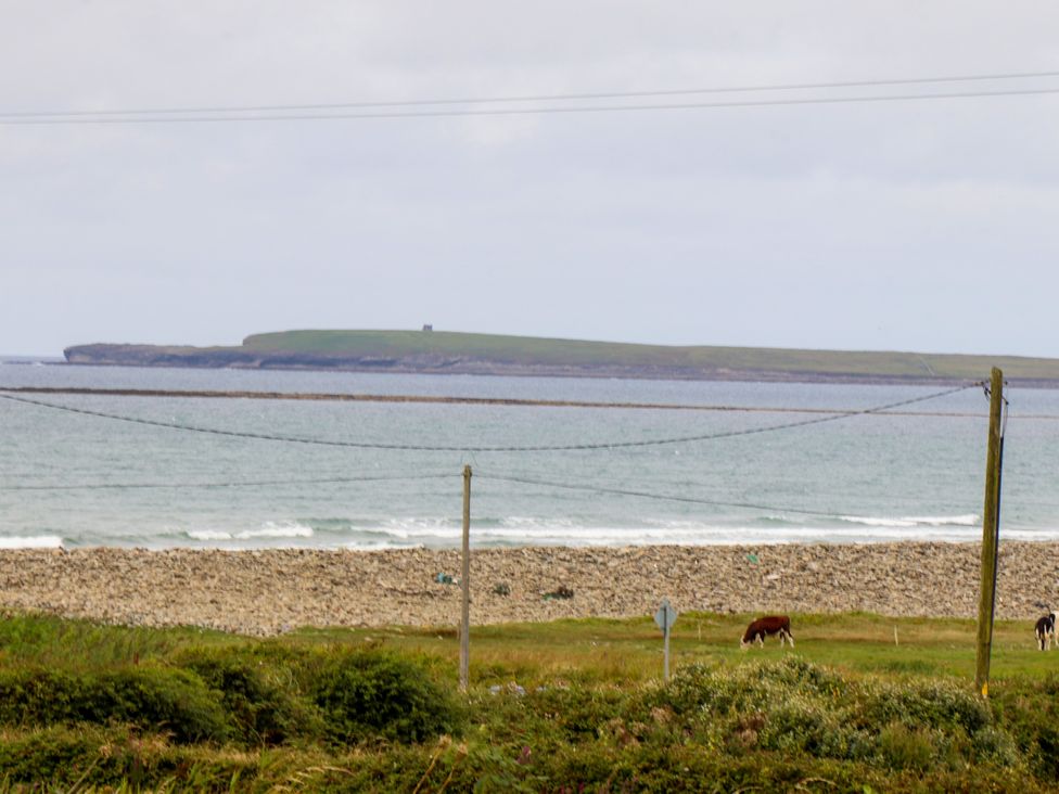 An ocean view with an island and cows at Carrowmore North in Doonbeg, County Clare
