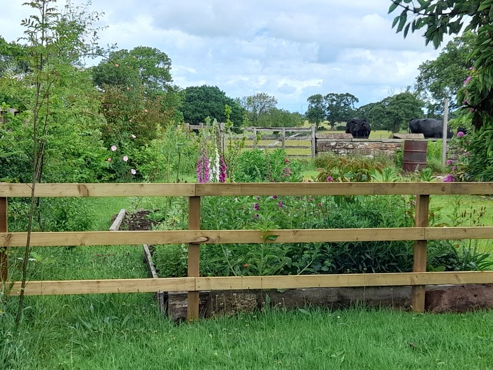 A garden with flowers and cows in the background at The Roost Cumdivock near Dalston