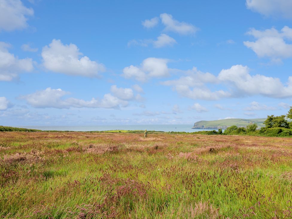 West Dairy - South Wales - 1159204 - thumbnail photo 35