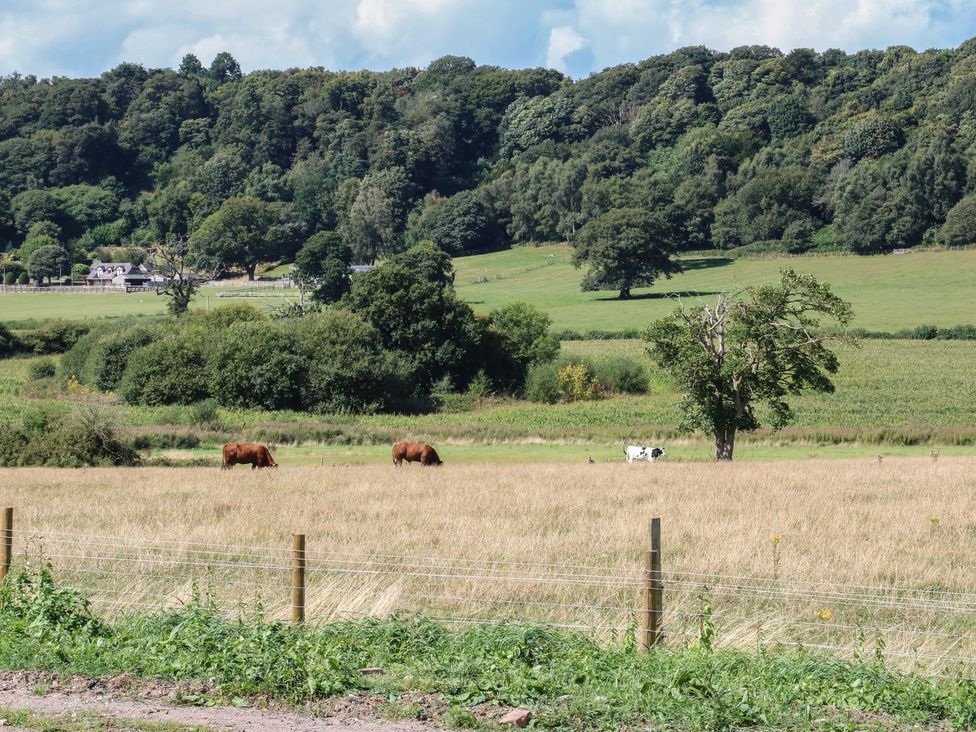 Paradise - Shropshire - 1159207 - thumbnail photo 25