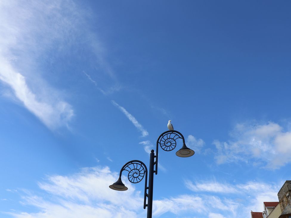 A street lamp with a seagull on top under a blue sky at 3 Harbour Heights Lyme Regis