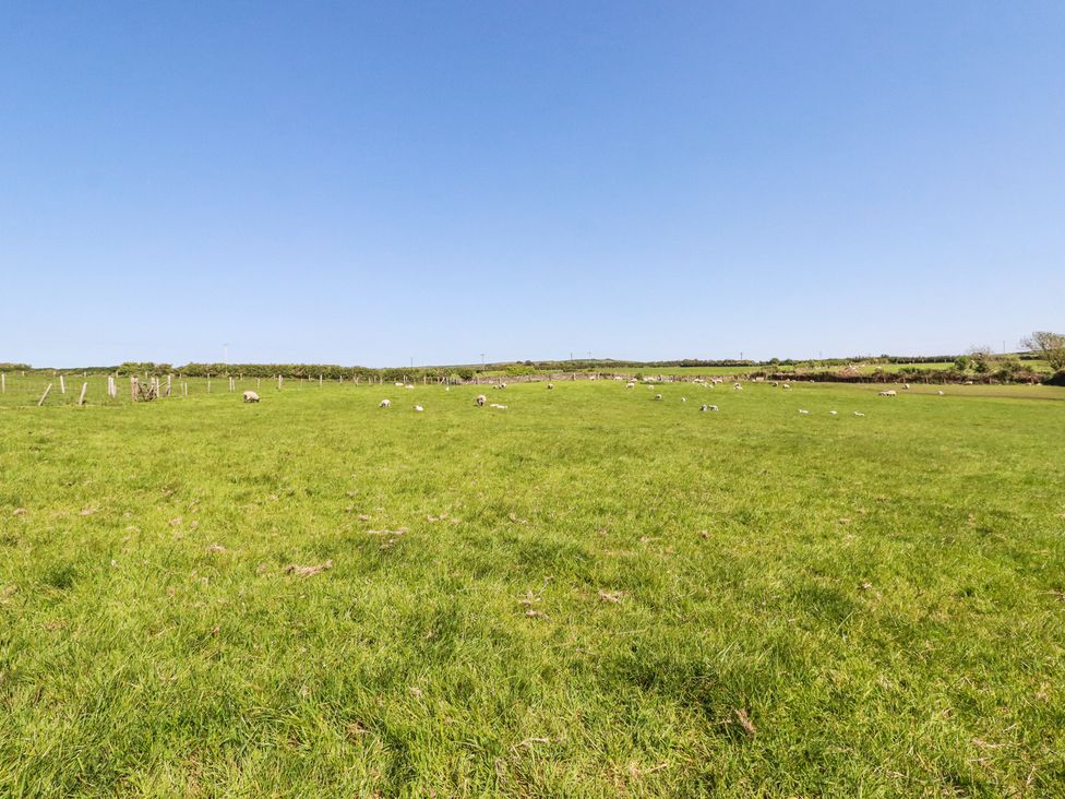 Hilldene - Cornwall - 1159342 - thumbnail photo 43