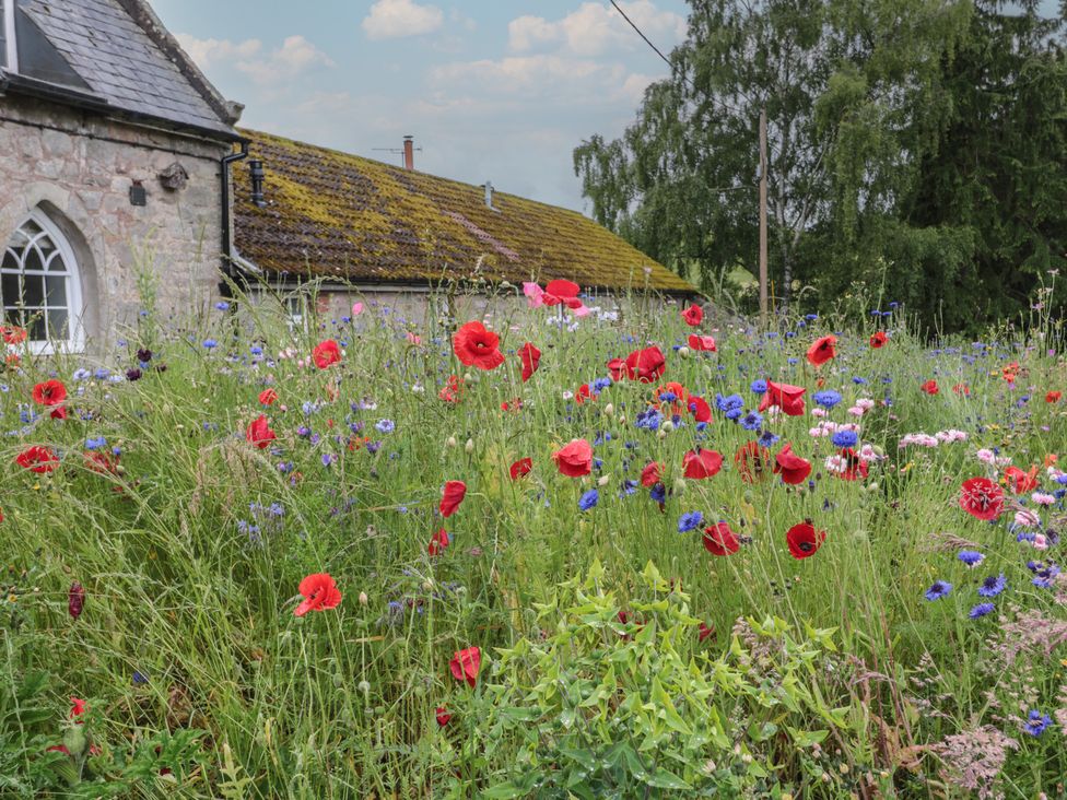 Honeysuckle Cottage - Northumberland - 1159473 - thumbnail photo 22