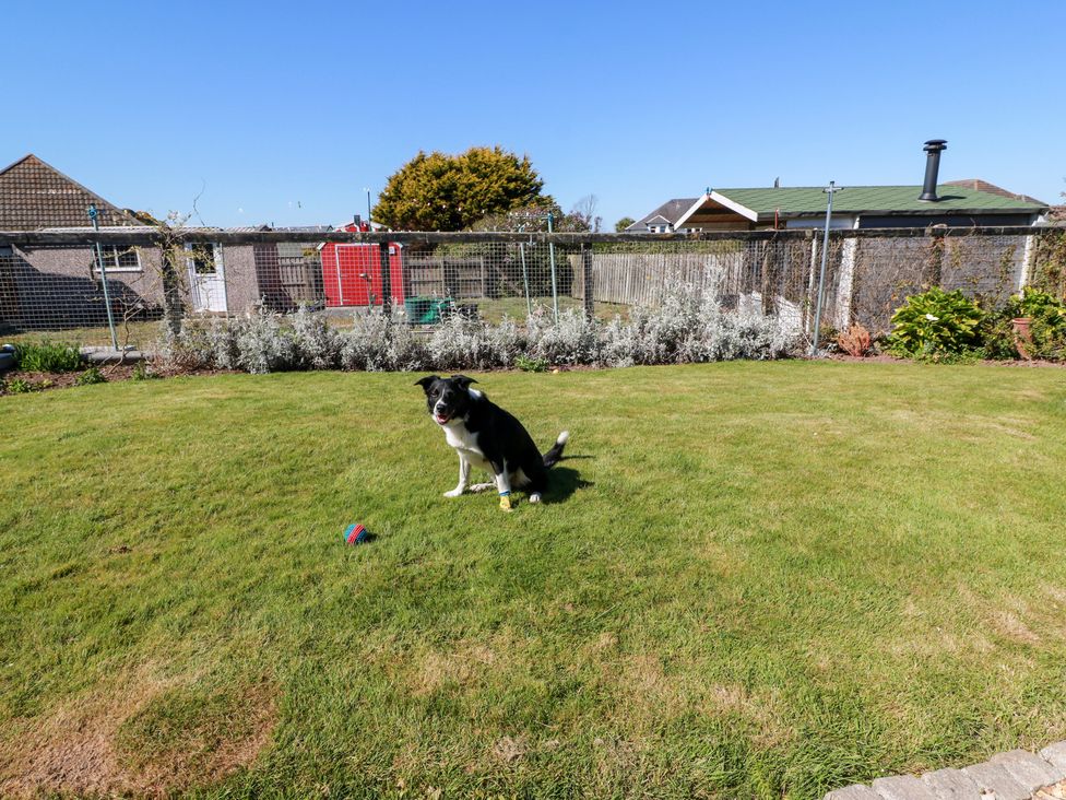 A dog sitting on grass with a ball in a garden at Castaway Cottage Maidens