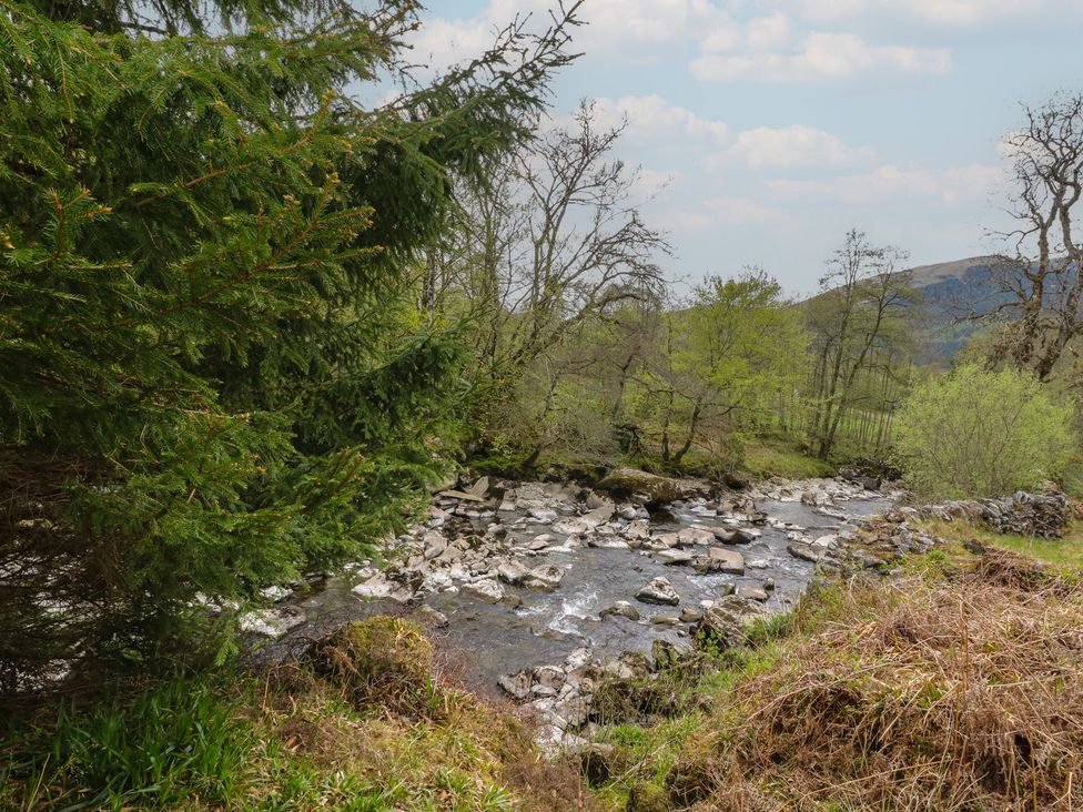 A view of a stream surrounded by trees at Culearn Mill in Balquhidder, Perthshire, Scotland