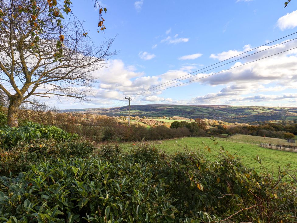 A scenic view of hills and a tree with power lines at Roding Cottage in Egton