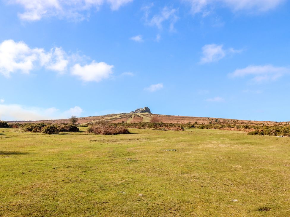 2 Freeland Cottages - Devon - 1159610 - thumbnail photo 41