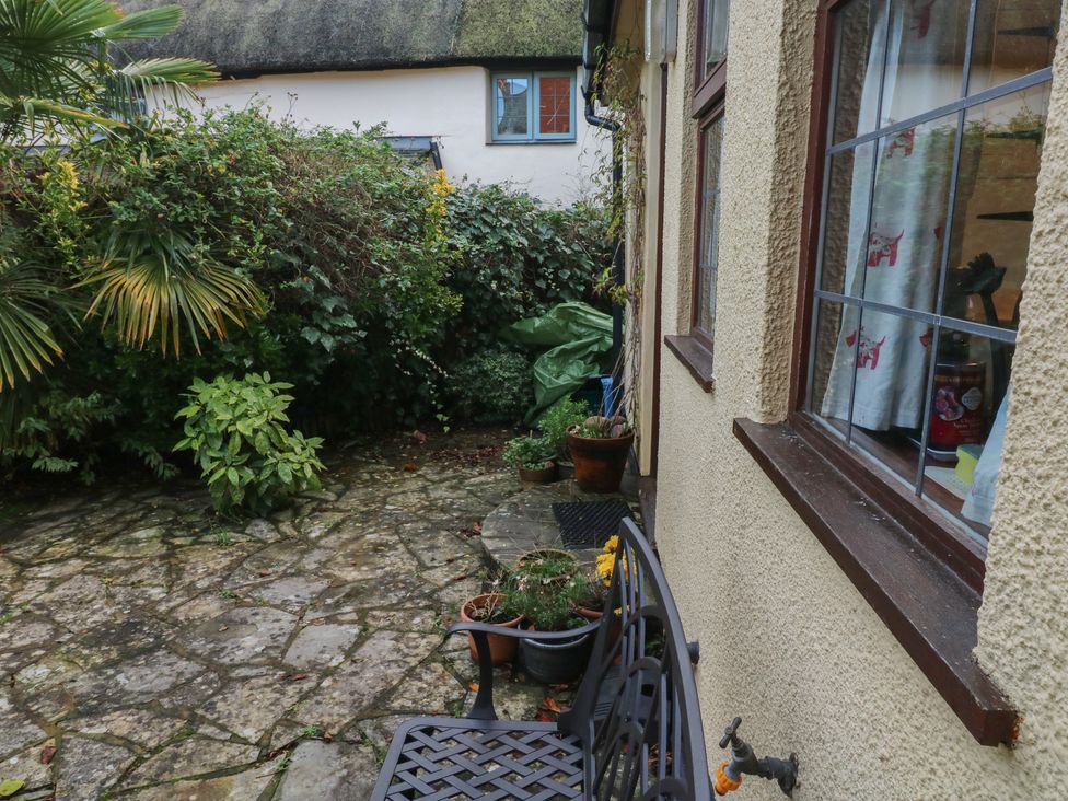 A garden with plants and a stone patio at Bridge Cottage in Budleigh Salterton