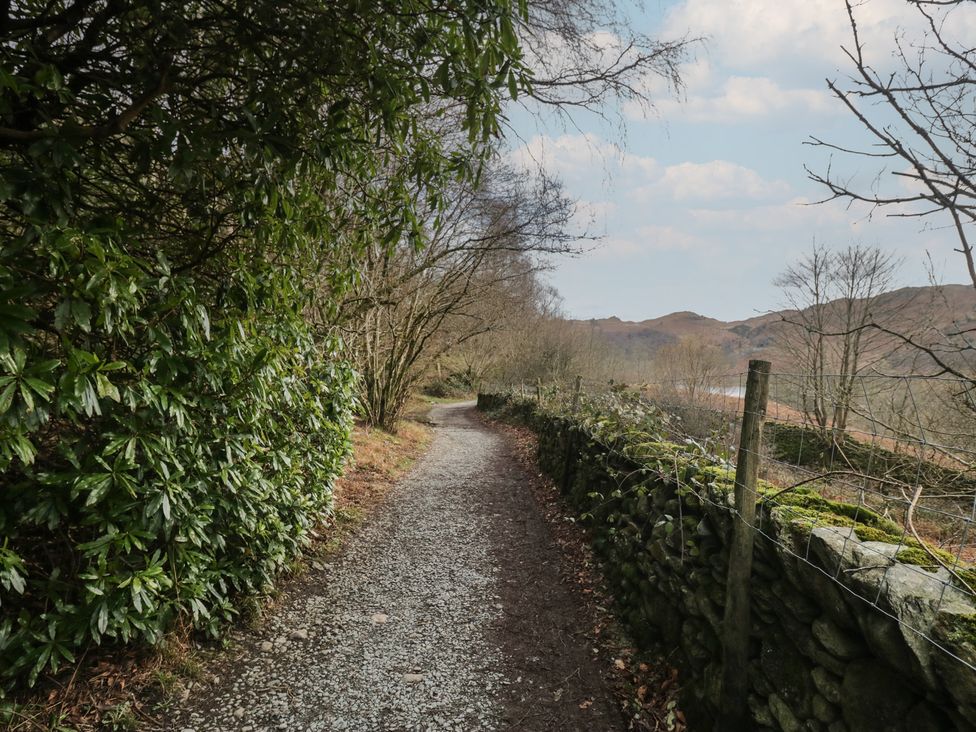 A path surrounded by bushes and trees in a forest setting at Brockstones in Grasmere