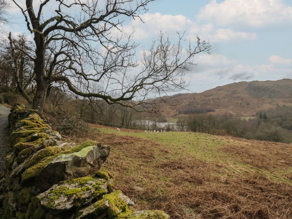 A view of a lake and mountains with a tree and stone wall at Brockstones Grasmere