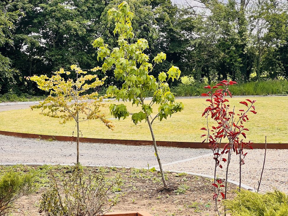 A garden with three trees and a gravel pathway at Sabi in Gembling near Beeford
