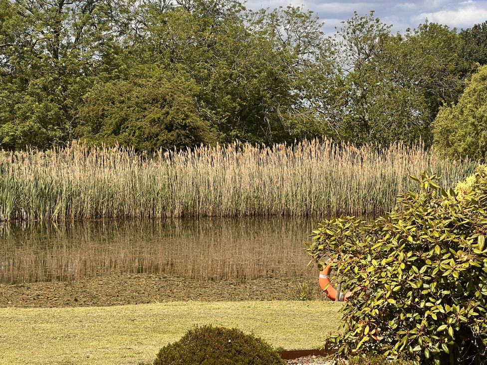 A view of water with reeds and greenery at Sabi in Gembling near Beeford