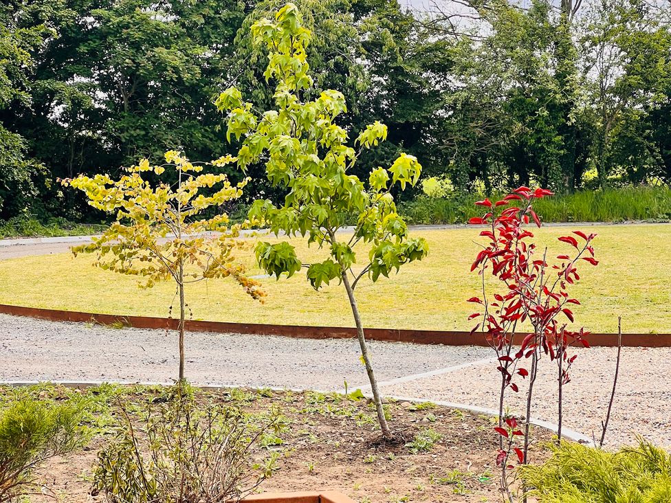 A garden with trees and a pathway at Sabi in Gembling near Beeford