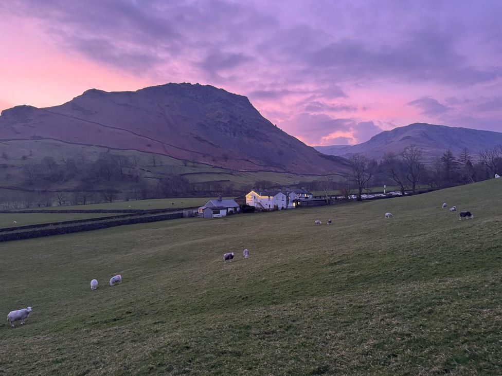 A field with sheep and a farmhouse at Stone Arthur Cottage Grasmere