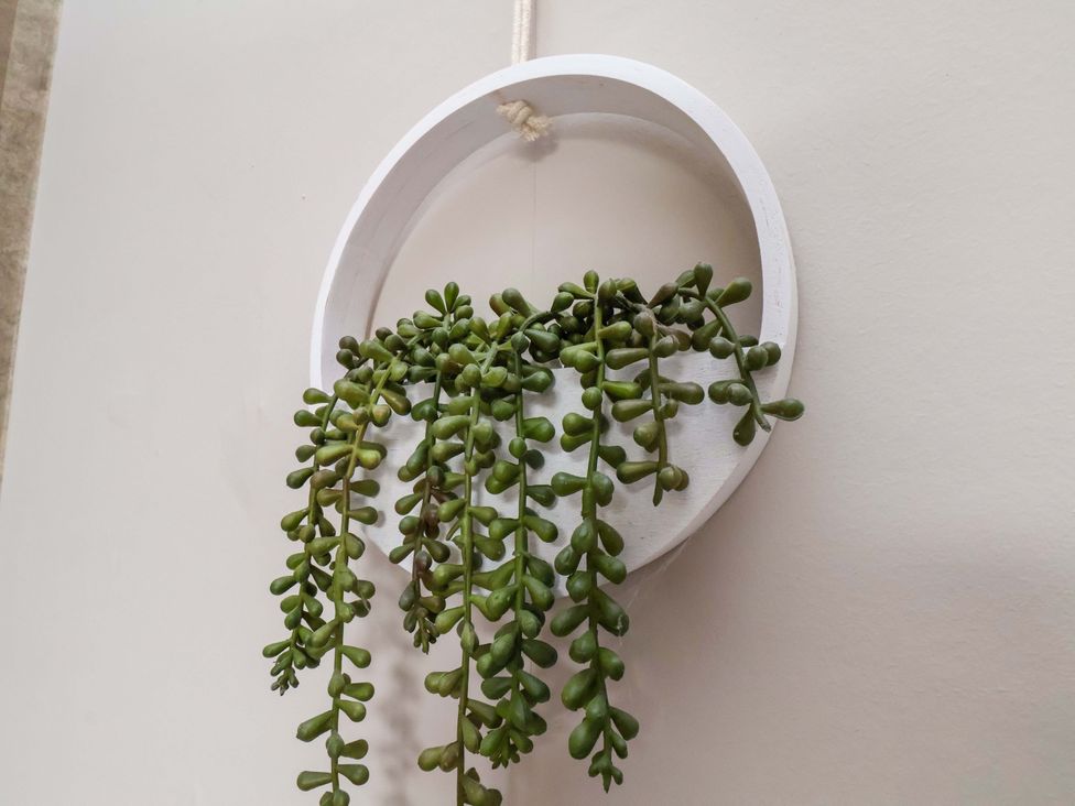 A hanging planter with a succulent against a wall at The Corner House in Scarborough
