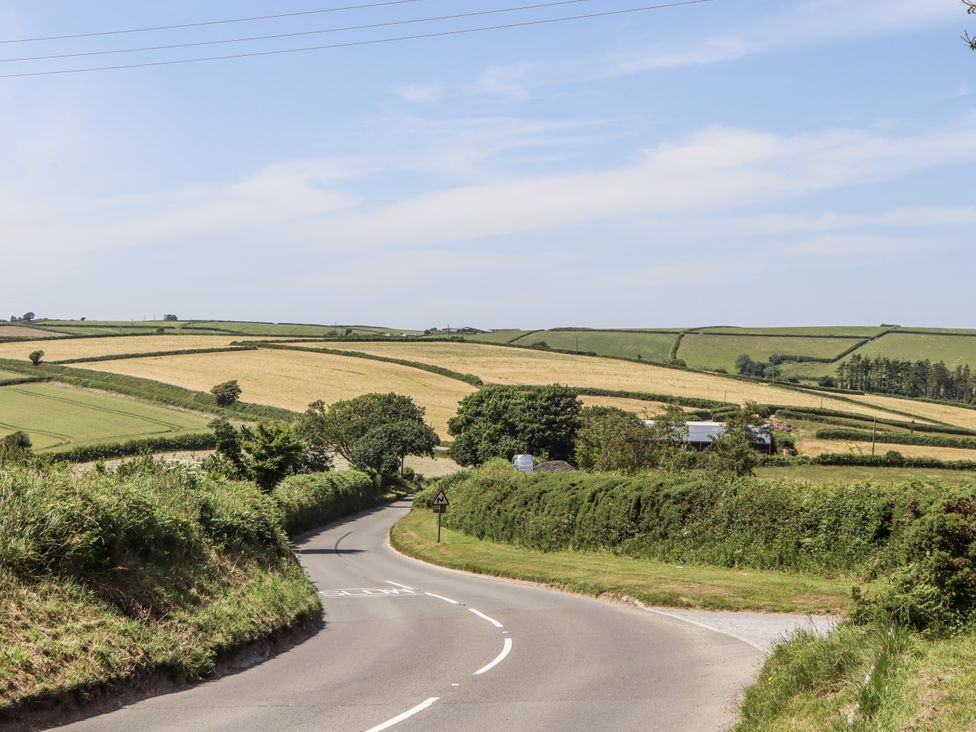 A winding road with fields and trees on either side at Driftwood in Dartmouth