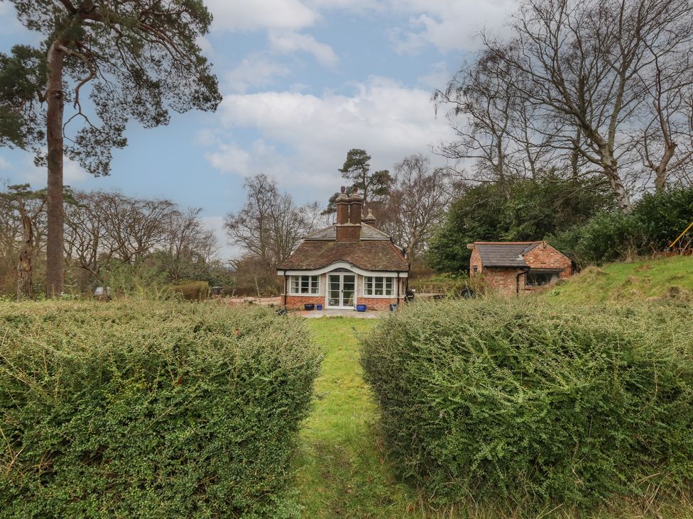 Limberlost Cottage - Dorset - 1160110 - thumbnail photo 36