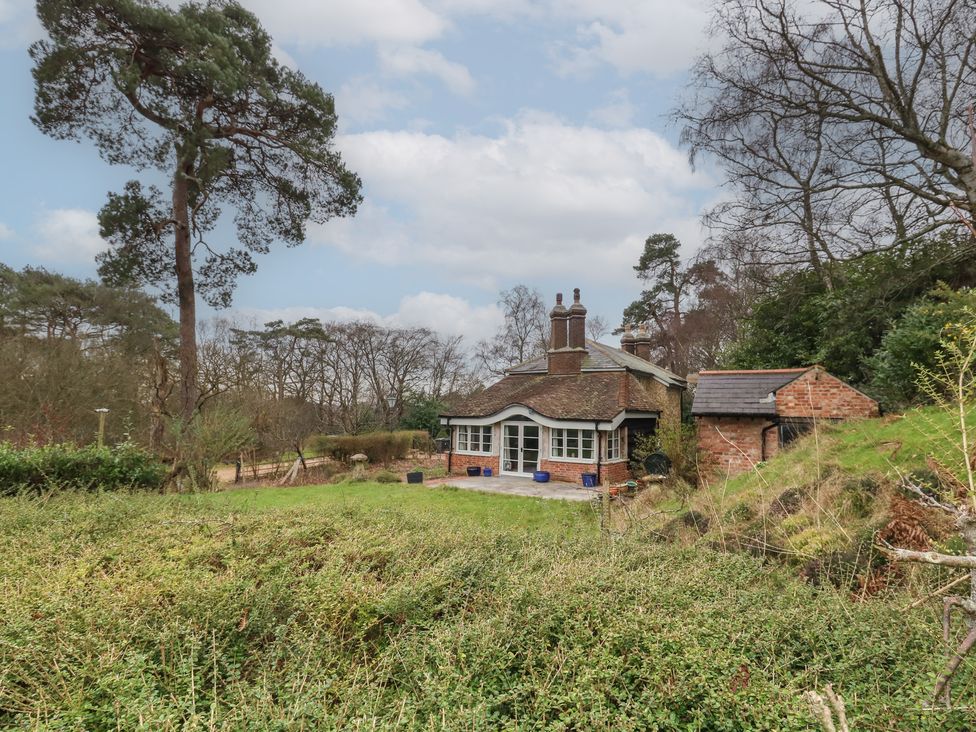 Limberlost Cottage - Dorset - 1160110 - thumbnail photo 37