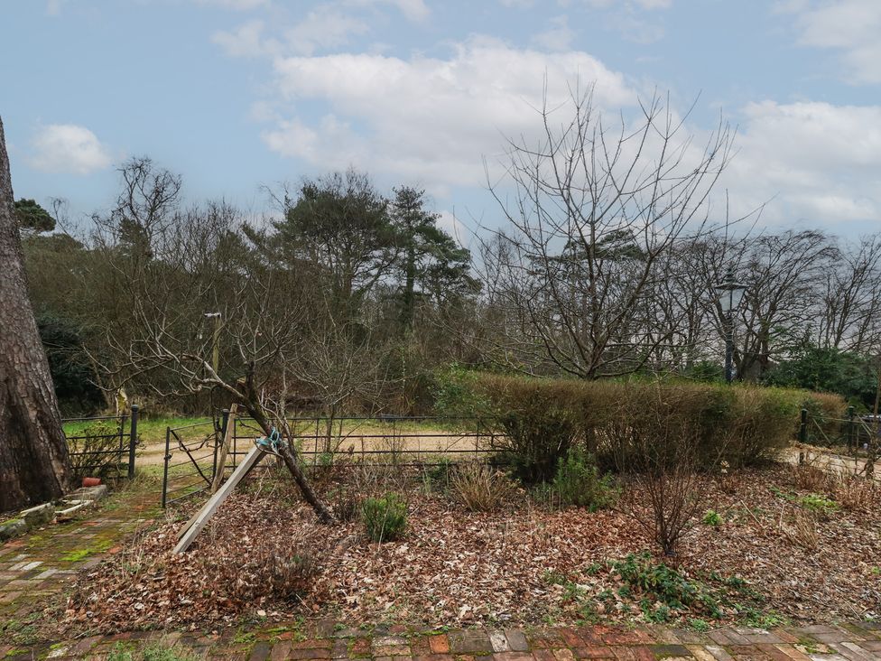 Limberlost Cottage - Dorset - 1160110 - thumbnail photo 39