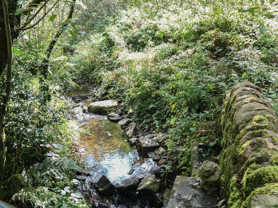 A stream running through a green area with rocks and plants at Brook Cottage, Hayfield, High Peak