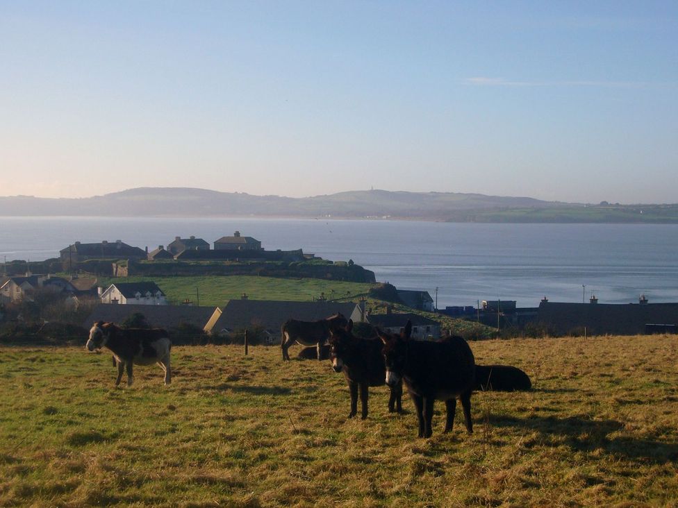 Shepherds Walk - County Wexford - 1160155 - thumbnail photo 19