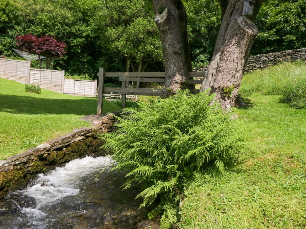 A stream with ferns and a bench at Burnbank Cottage in Grange-Over-Sands