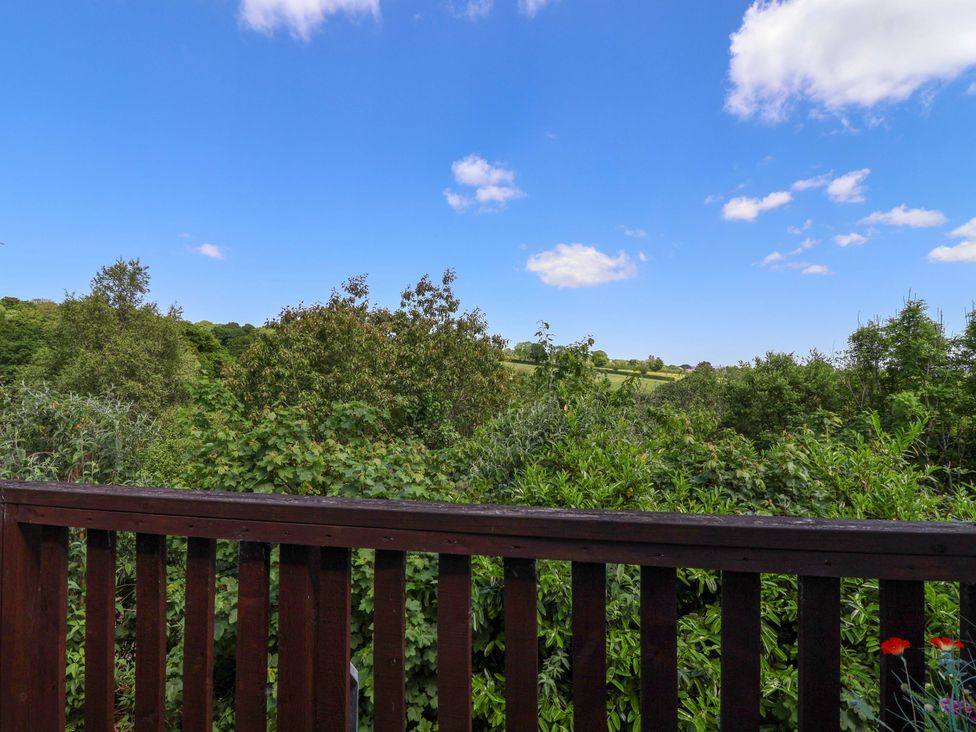 A wooden balcony railing overlooking dense green trees and bushes with a clear blue sky at 37 Tamar in St Ann's Chapel near Callington