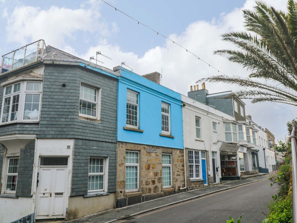 A street view of houses with a palm tree at Harbour View in St Ives