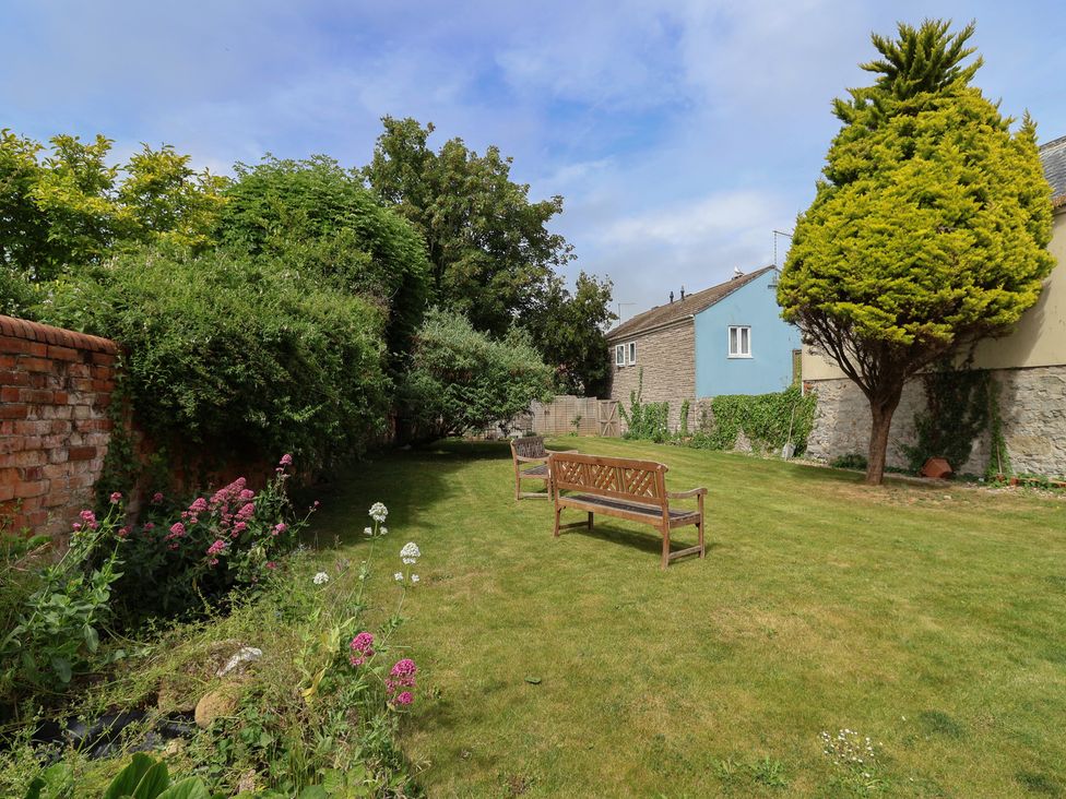 A garden with a bench and plants at Saltwind in Lyme Regis