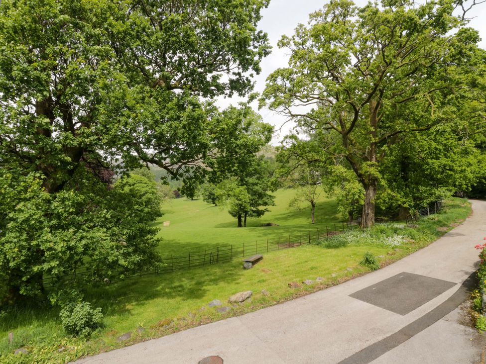 A view of a grassy area with trees and a winding road at Hollens Cottage in Grasmere