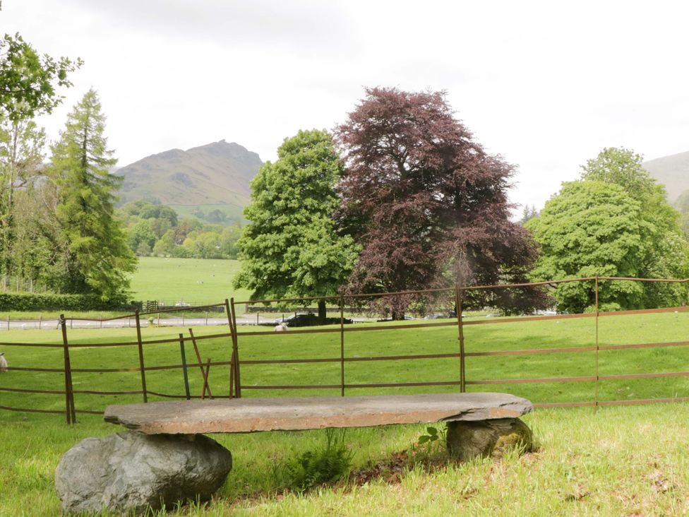 A bench surrounded by trees and a view of a mountain at Hollens Cottage in Grasmere