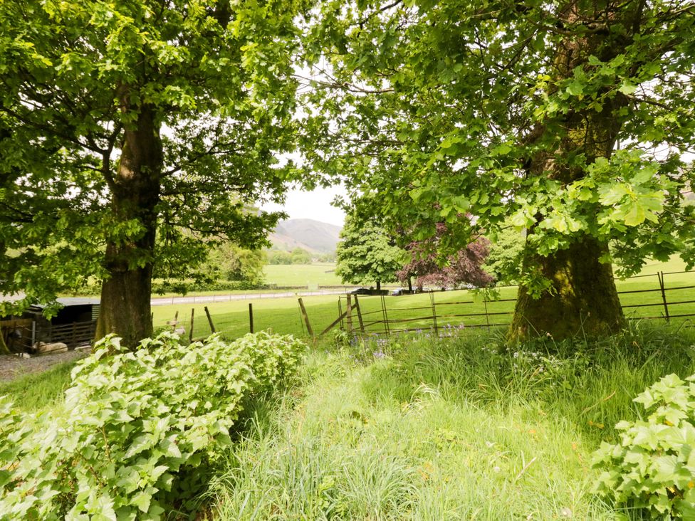 A view of trees and a field with a fence at Hollens Cottage in Grasmere