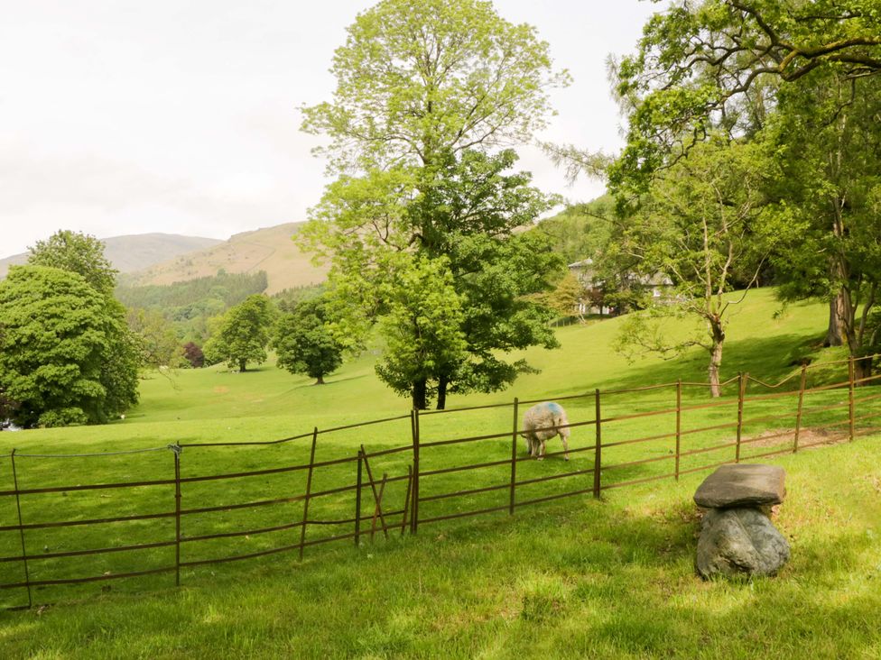 An outdoor scene with trees and a sheep near a fence at Hollens Cottage in Grasmere