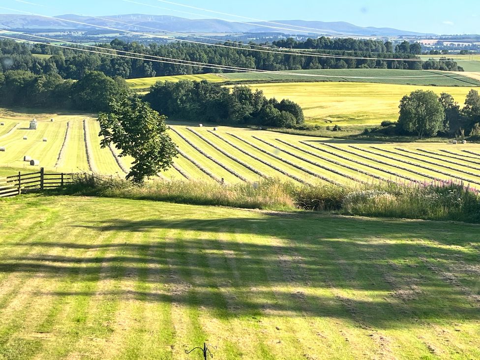 A field with hay bales in neat rows at Pittencleroch Mill Crieff