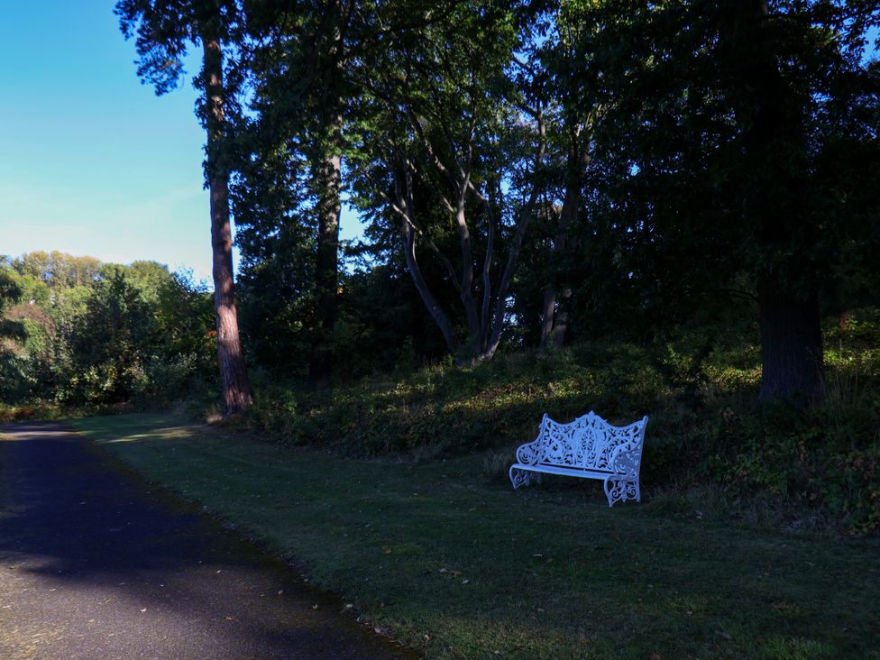 A bench near a path surrounded by trees at Ramson in Saltburn-By-The-Sea