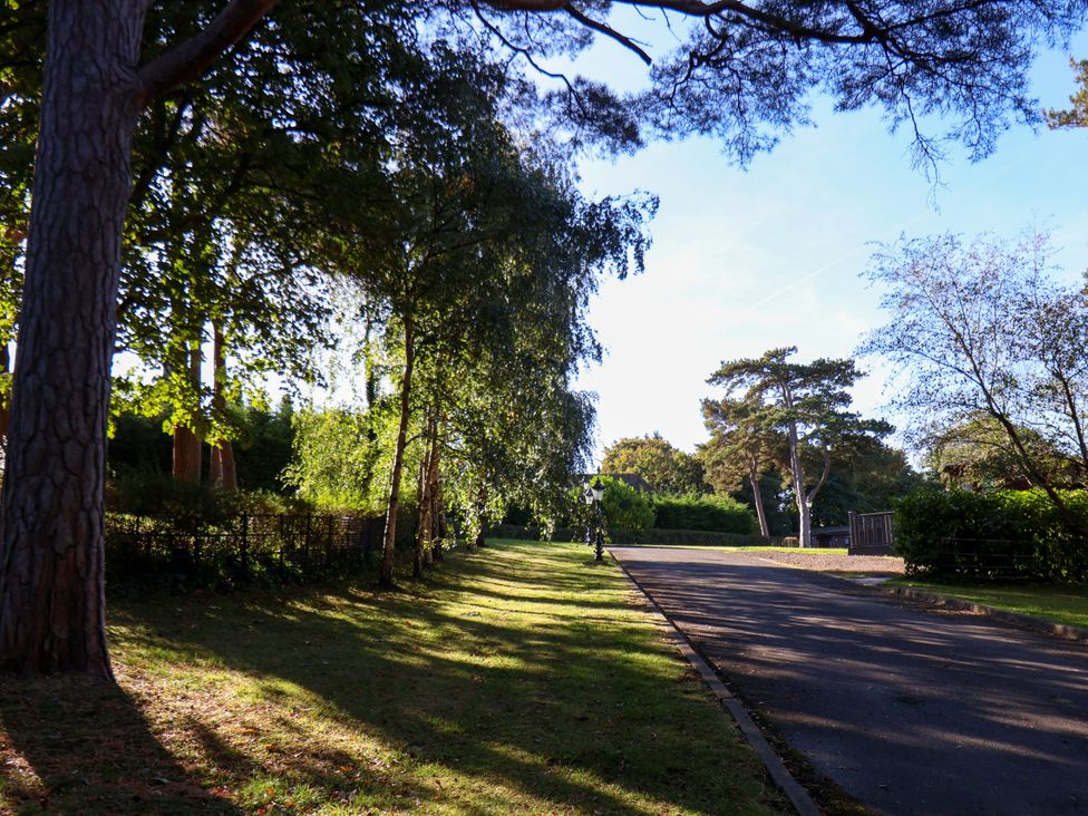 A garden area with trees and a path at Ramson in Saltburn-By-The-Sea