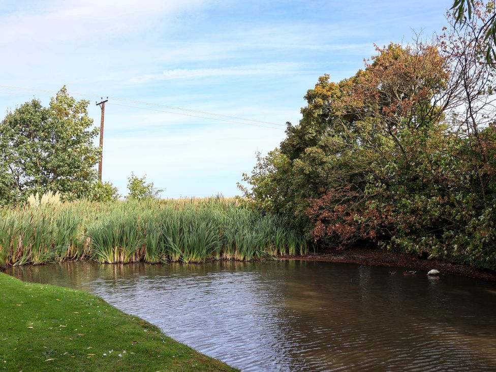 A pond surrounded by grass and trees at Ramson in Saltburn-By-The-Sea