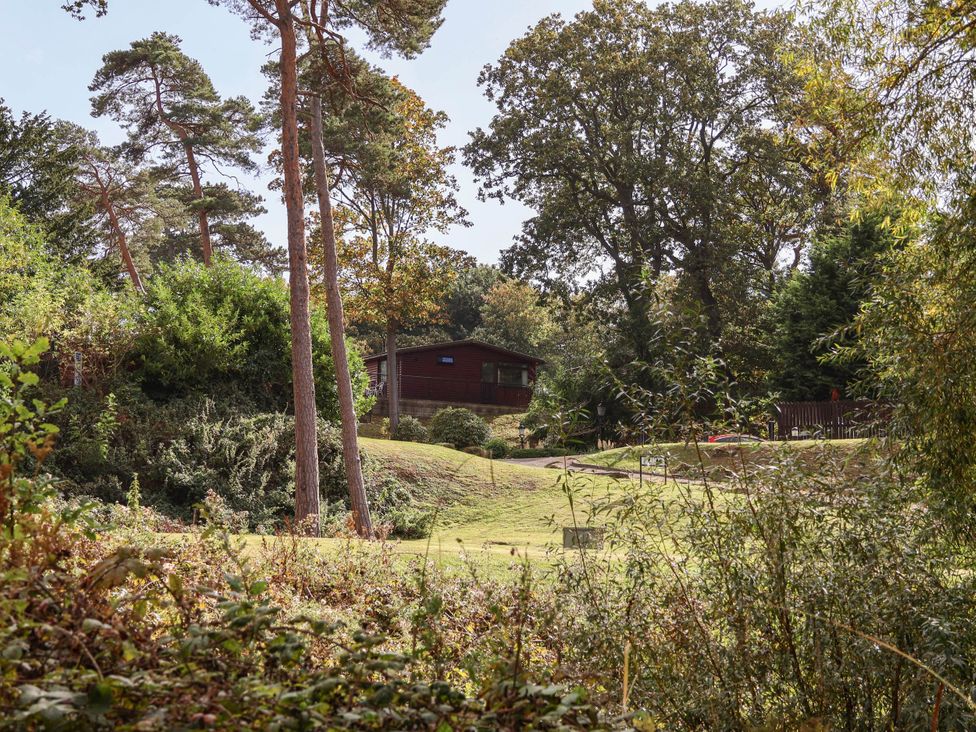 A cabin surrounded by trees and grass at Ramson in Saltburn-By-The-Sea