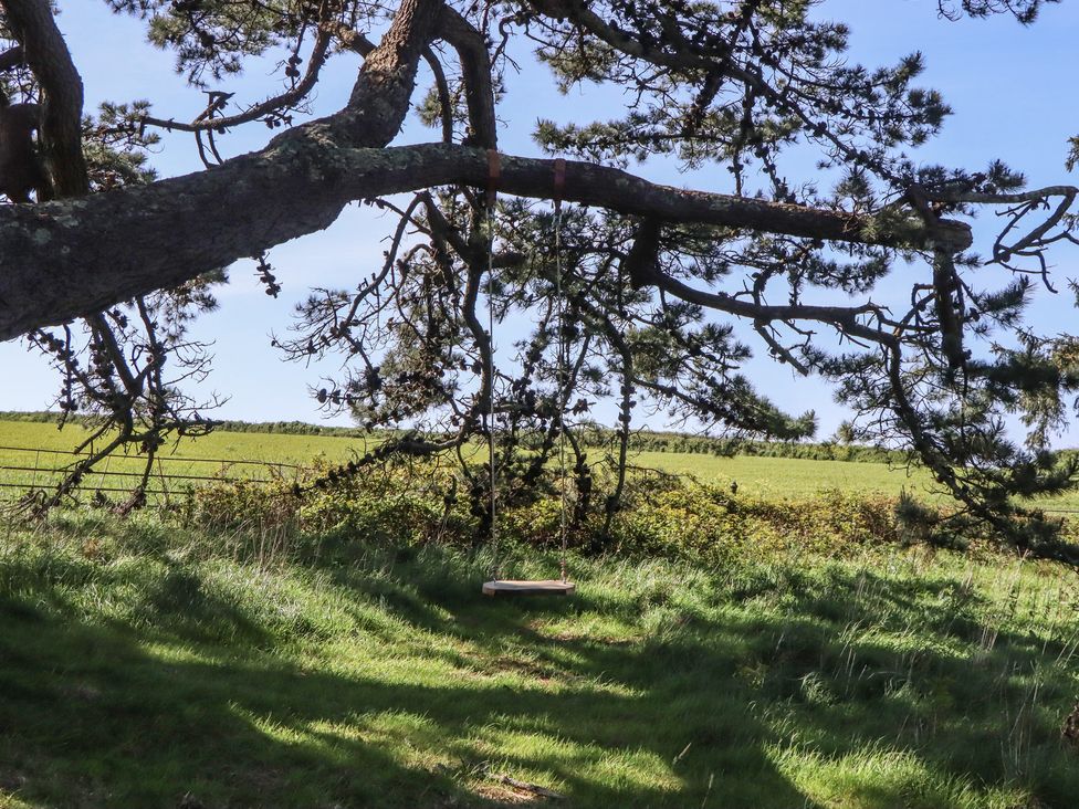 A swing hanging from a tree in a grassy field near Mothecombe Beach