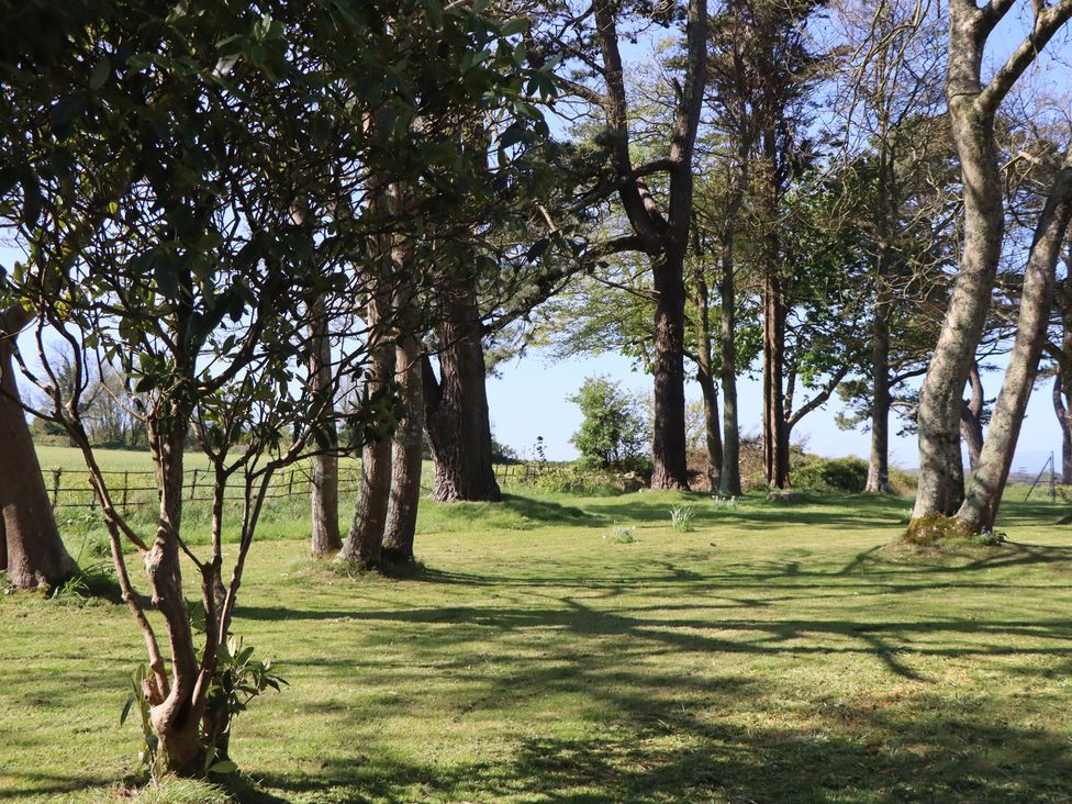 A garden with trees and grass at Alston Hall near Mothecombe Beach