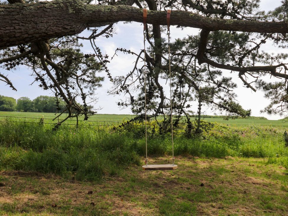 A swing hanging from a tree in a field at Alston Hall near Mothecombe Beach