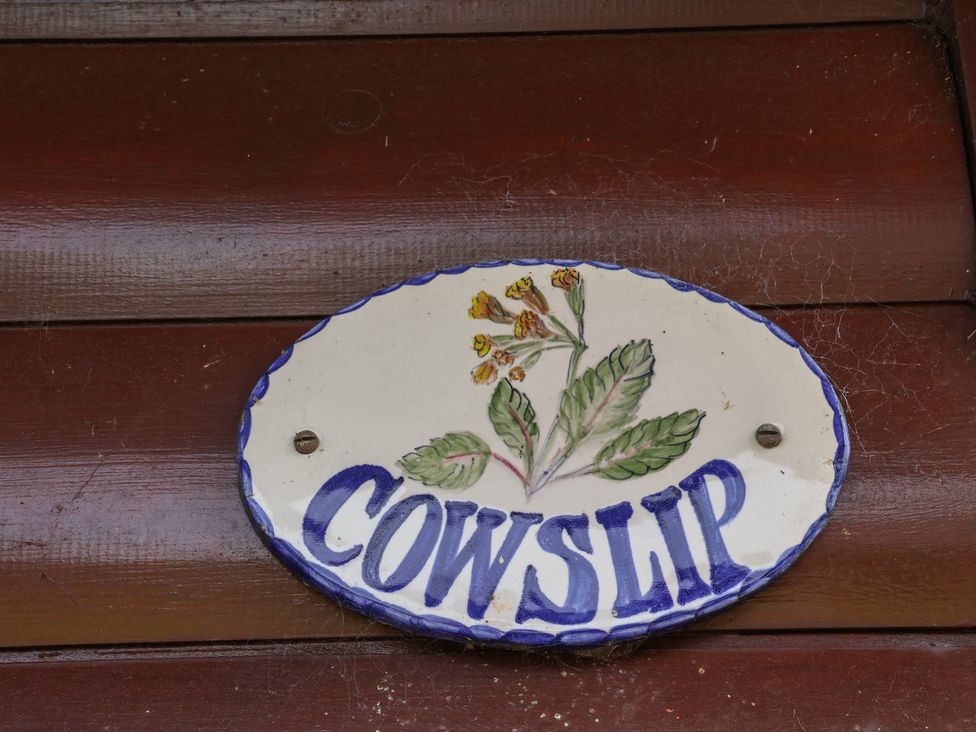 Cowslip - North Yorkshire (incl. Whitby) - 1160615 - thumbnail photo 3