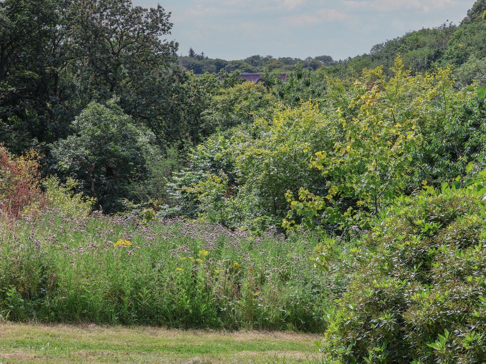 Cowslip - North Yorkshire (incl. Whitby) - 1160615 - thumbnail photo 22