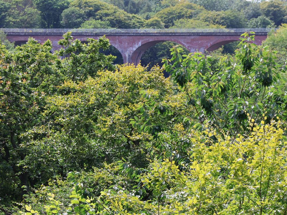 Cowslip - North Yorkshire (incl. Whitby) - 1160615 - thumbnail photo 25