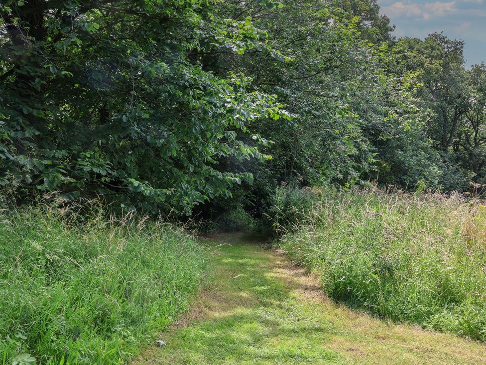 Cowslip - North Yorkshire (incl. Whitby) - 1160615 - thumbnail photo 26