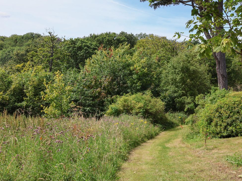 Cowslip - North Yorkshire (incl. Whitby) - 1160615 - thumbnail photo 27