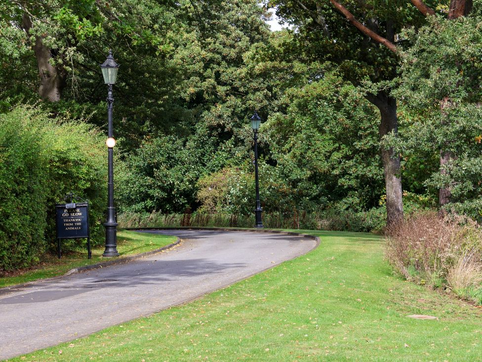 A pathway with lamp post and sign at Cowslip in Saltburn-By-The-Sea