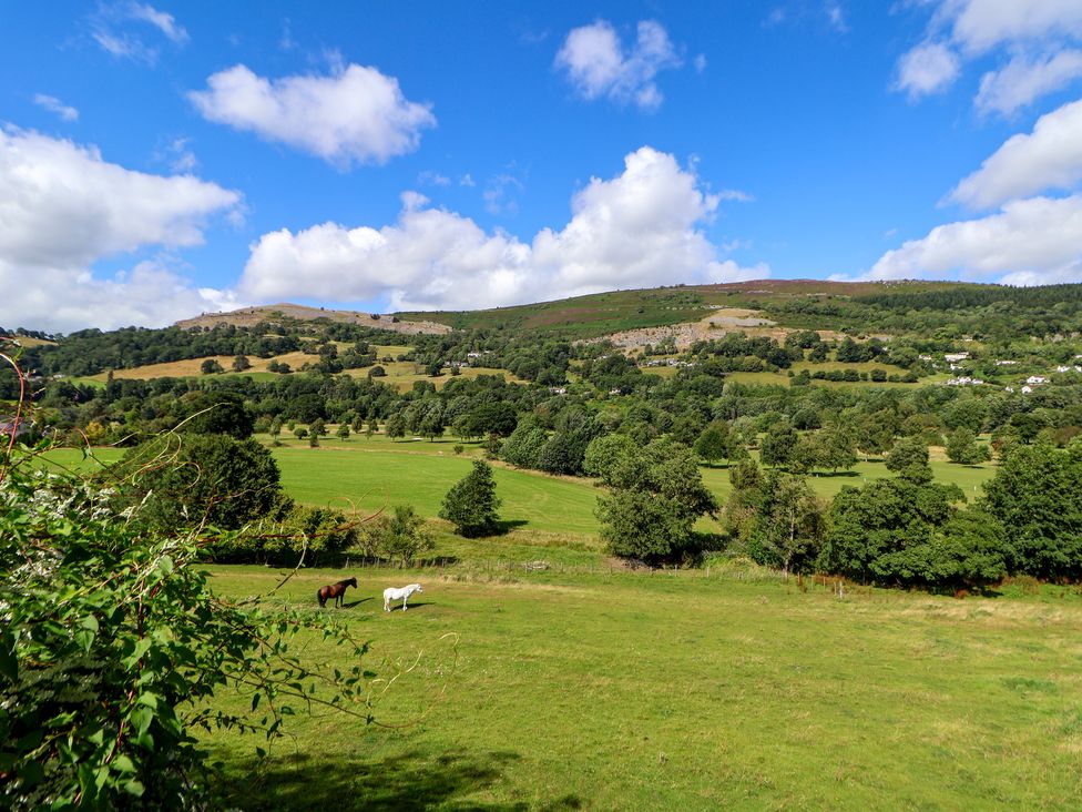 The Willows - North Wales - 1160642 - thumbnail photo 55